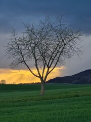 Obraz premium Country landscape in sunshine in Germany