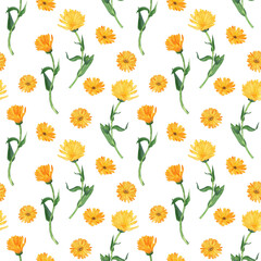 Calendula in seamless pattern on white background. Orange flower with green leaves. Watercolor hand drawn illustration. Calendula officinalis for medical design.
