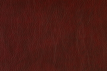 Fototapeta premium Artificial Leather Background Synthetics