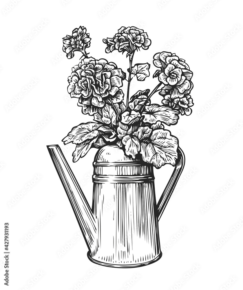 Wall mural flowers in a pot. bouquet and watering can in sketch style. gardening vintage vector illustration