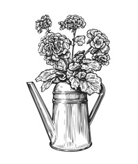Flowers in a pot. Bouquet and watering can in sketch style. Gardening vintage vector illustration © ~ Bitter ~