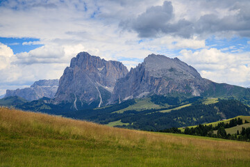 Sassolungo e Sassopiatto dall'alpe di Siusi, Dolomiti	