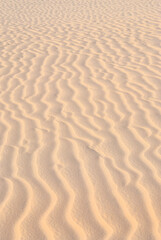 sand dunes in the desert