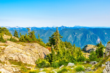 Obraz premium Fragment of Mount Seymour trail in Vancouver, Canada.