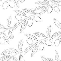 Olives branch pattern on white background.