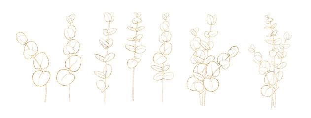 Set of differents gold eucalyptus branch on white background. Line art style with transparent background.