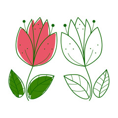 Flower doodle vector illustration set of two types with colour and without on white background