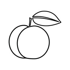 Victoria plum vector outline illustration in minimalistic style on white background