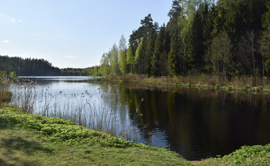 Fototapeta na wymiar A lake with dark waters, surrounded by forest. Clear sunny day, blue sky, colorful landscape. Spring time. Horizontal photo. Scenery. 