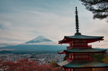 Obraz premium 五重塔と富士山