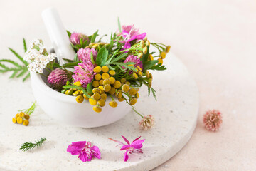 Fototapeta na wymiar medical flowers herbs in mortar. clover milfoil tansy rosebay. healthy natural lifestyle
