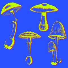 Set of mushrooms in psychedelic colors, etched vector