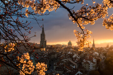 Fototapeta na wymiar dramatic sunset over the oldtown of Bern in spring during cherry blossom