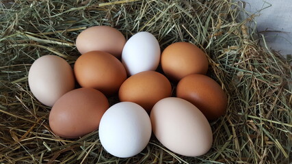 Fresh chicken eggs of different colors lie in a pile on the hay. Farming and household. Preparation for Easter. Farm lifestyle in the countryside