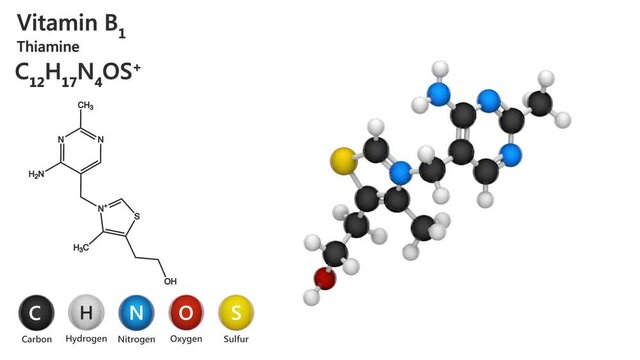 Vitamin B1(Thiamine or aneurine). 3D render. Seamless loop. Chemical structure model: Ball and Stick. White background.