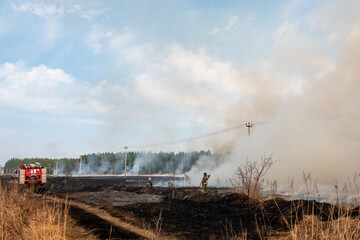 Fototapeta na wymiar Forest fire burning, Wildfire close up at day time