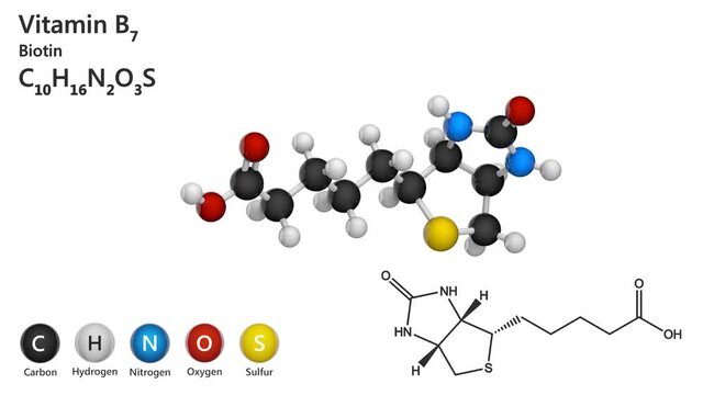 Molecular structure of Vitamin B7 (biotin). Also known as Vitamin H. 3D render. Seamless loop. Chemical structure model: Ball and Stick. White background.