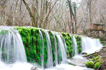 rapids of the waterfall surrounded by moss and trees