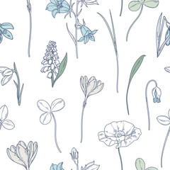 seamless pattern with wildflowers on white background
