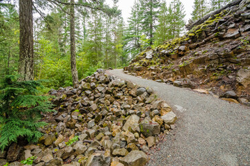 Fragment of Nita Lake Trail in Whistler, Vancouver, Canada.