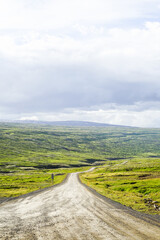 A road leading to the beautiful and vast nature of greenery