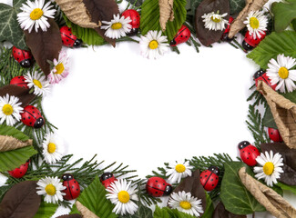 Colorful frame of natural leaves and flowers.