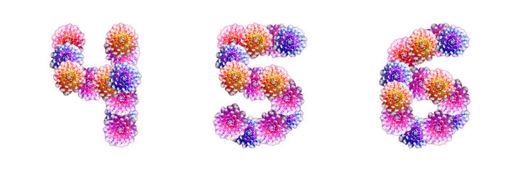 Numbers 4, 5, 6 made of peony flowers