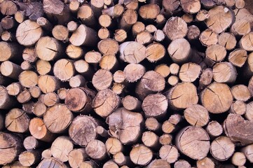 stock de bois