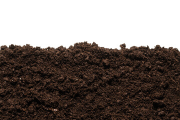 Black land for plant.