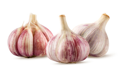 Garlics isolated on white background
