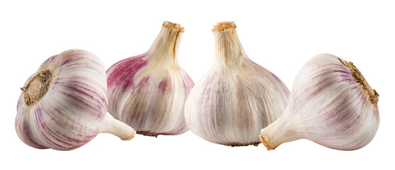 Garlics isolated on white background