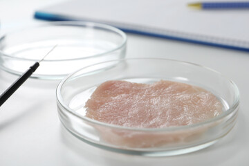 Petri dish with piece of raw cultured meat on white table, closeup