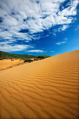 At Ammothines (literally "sand dunes"), also known as "Pachies Amdes". Lemnos island, North Aegean, Greece.