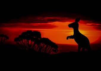 Silhouettes of animal on golden cloudy sunset background. Kenguru in wildlife background. Beauty in color and freedom.
