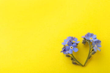Beautiful blue forget-me-not flowers on yellow background, flat lay. Space for text