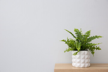 Beautiful fern in pot on wooden table, space for text © New Africa