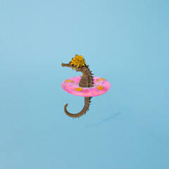 Summer 2021 , seahorse with pink beach rubber with yellow ducks. Blue background. Creative minimal concept. © DV Imaginarium