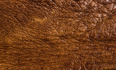 Old vintage genuine soft brown leather texture background, top layer with pores and scratches, macro, close-up