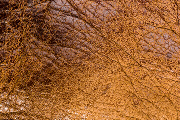 Old vintage genuine soft brown leather texture background, top layer with pores and scratches, macro, close-up