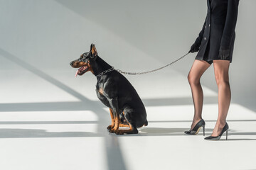cropped view of elegant woman near doberman on chain leash on grey background with shadows