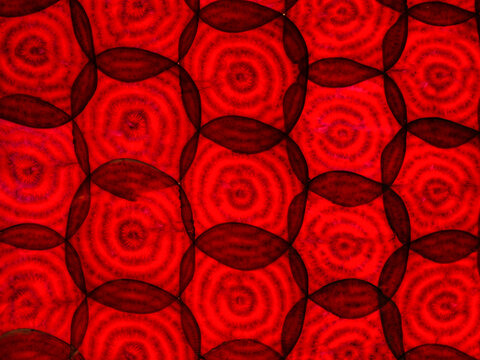 backlit illuminated texture beetroot