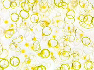 green onion slices mixed texture on white background