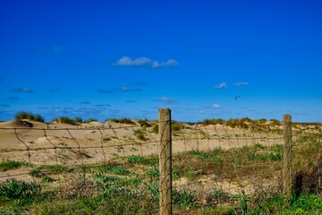 Fence and dunes under blue sky