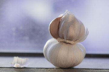 Two garlics stand on top of each other near window against blurred violet bokeh background. Place for text. Close-up