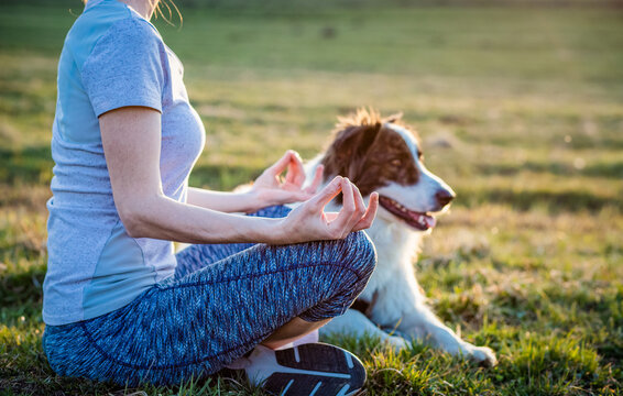 woman with dog doing yoga outdoors in beautiful sunset