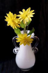 Spring yellow flowers - Flowering pilewort, lesser celandine, Ranunculus ficaria