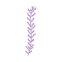 Obraz premium purple decorative branch