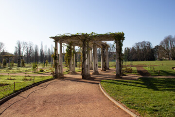 Pergola in the garden with the sun on the side  in the Tete de d'or park in Lyon