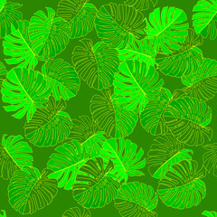 Fototapeta na wymiar Green vector Illustration of leaves monstera. Seamless pattern