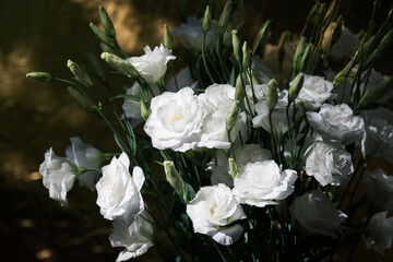 Close up of a bouquet of fresh white eustoma on a blur dark gold background. Bunch of flowers